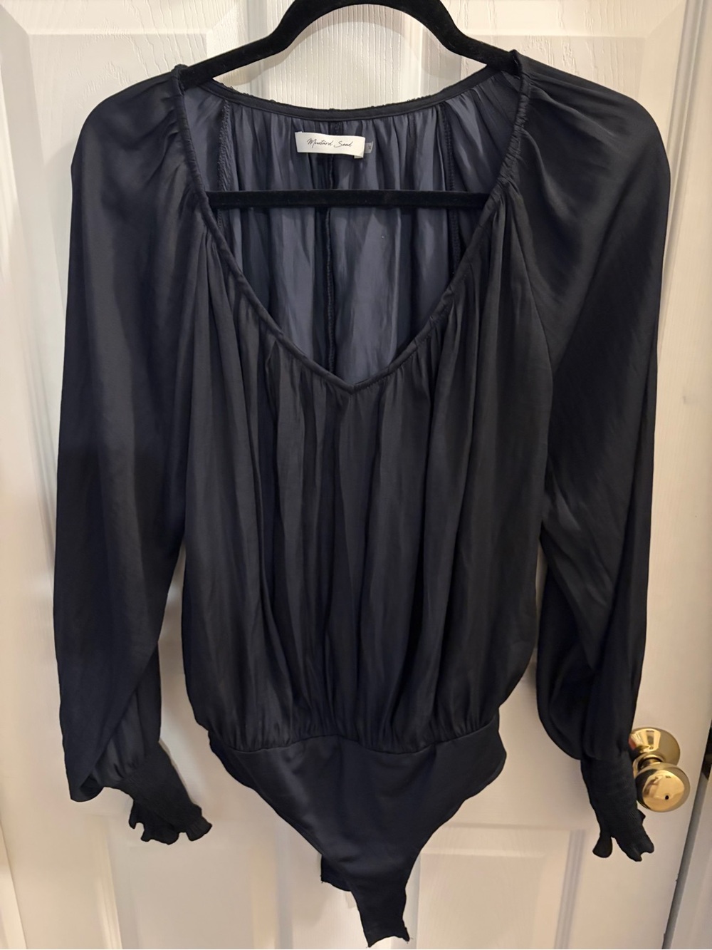 Mustard Seed Black Sheer Long-Sleeve V-Neck Bodysuit